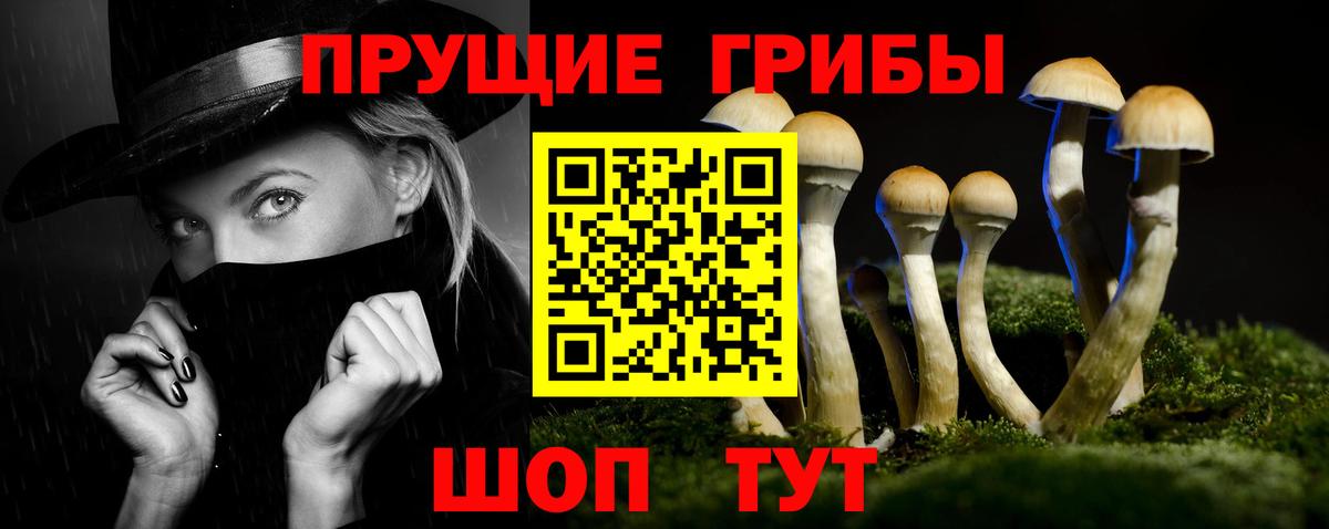 Галлюциногенные грибы Psilocybine cubensis  Вход с VPN  Сланцы 